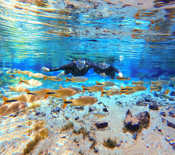 Bonito e sua linda nascente azul