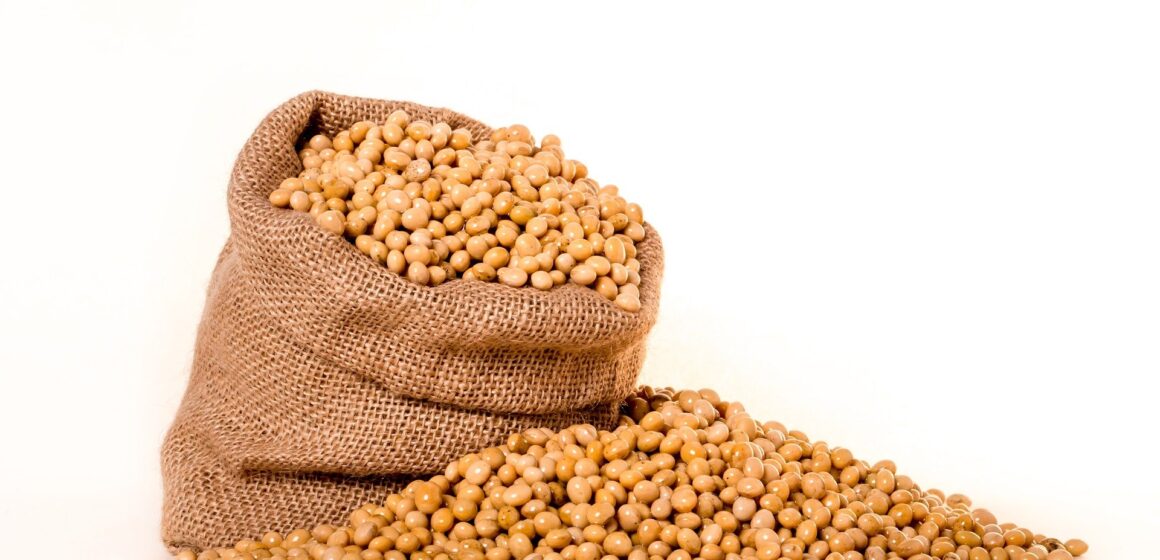 Mato Grosso do Sul fecha 2020 com 38% de crescimento do comércio exterior