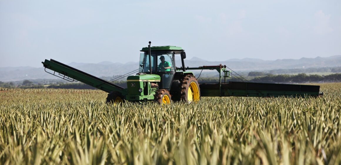 dietmar-reichle-caiX9QloFc8-unsplash Lei que cria fundo de investimento do agronegócio é sancionada