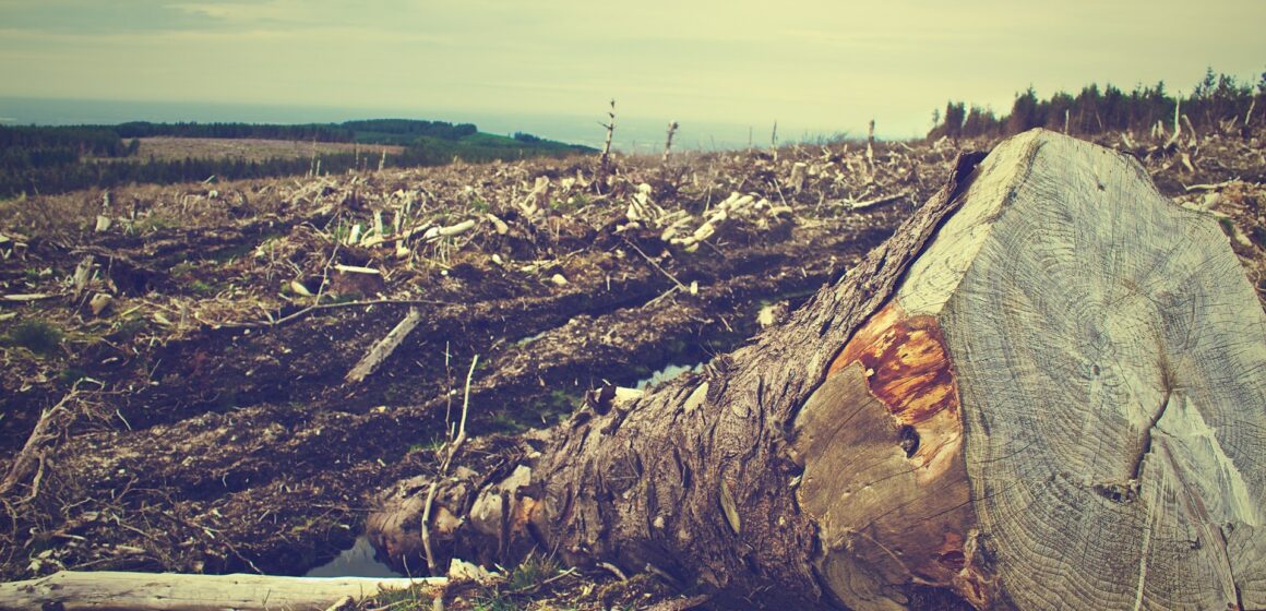 Noruega responde ministério do Meio Ambiente e cobra “vontade política”