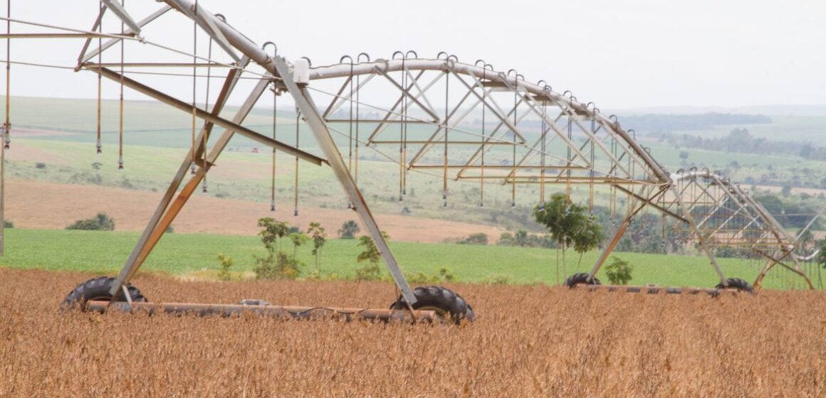 Caixa disponibilizará R$ 15 bilhões em crédito para o agronegócio