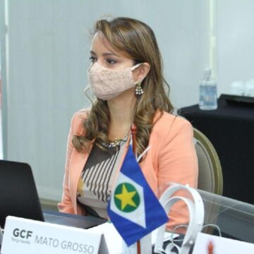 Mato Grosso lidera com mais oito estados ações contra desmatamento ilegal