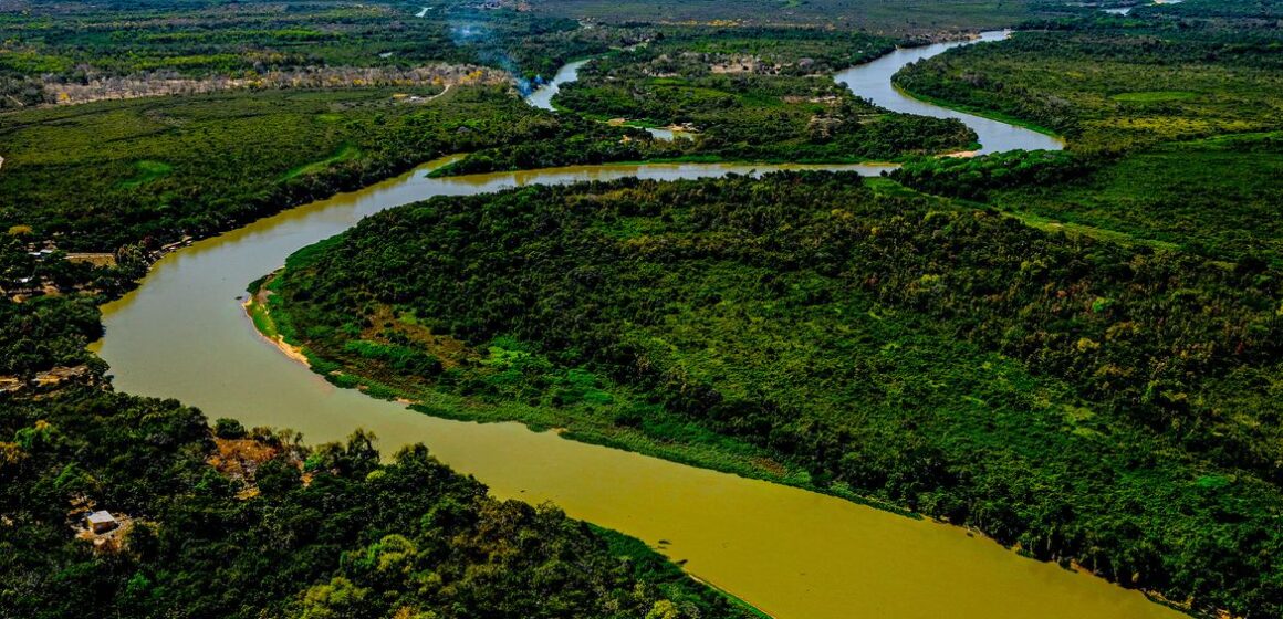 Estados e ministério se unem para combater incêndios no Pantanal