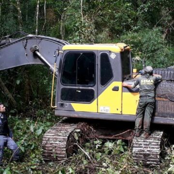 Unidades ambientais regionais aplicam mais de R$ 100 milhões em multas no Mato Grosso