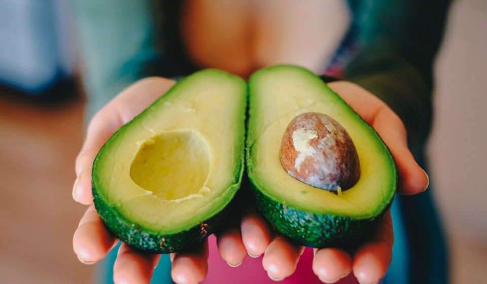 Abacate: Conheça 13 benefícios desse super alimento