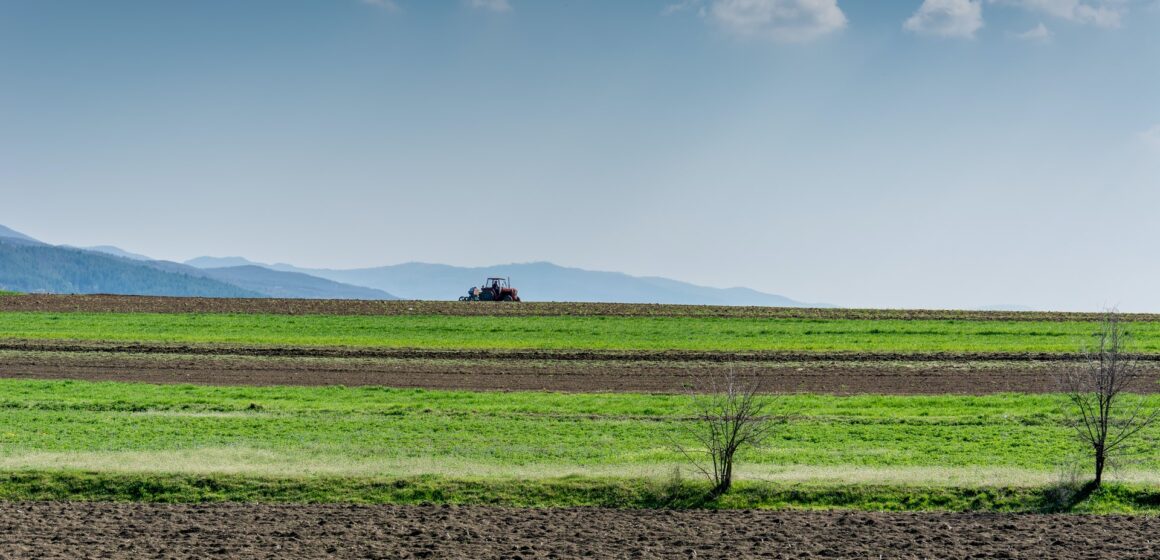 Contratação de crédito rural chega a R$ 97,75 bilhões em três meses do Plano Safra