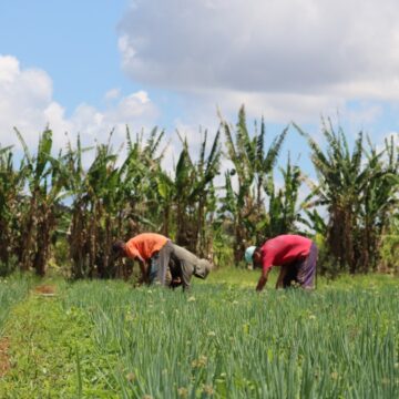 WhatsApp-Image-2021-11-09-at-10.25.35-1 Liberação de crédito rural em 2021 no DF chega a R$ 8,8 milhões