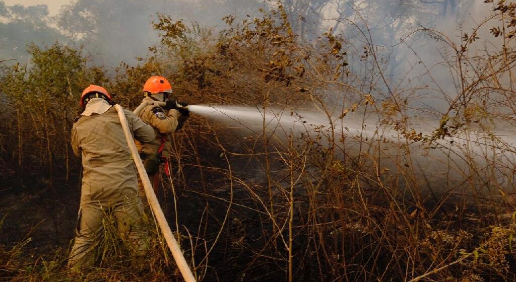 Mato Grosso reduz focos de calor em mais de 80% no Pantanal