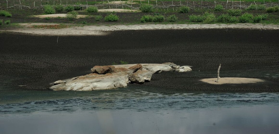 Estiagem no Sul do Brasil ameaça agricultores