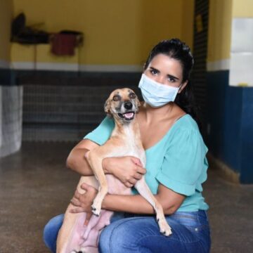 550d9c327d8a715069e6d0b7873df984 Cuiabá realizou mais de três mil atendimentos em 2021 em Bem-Estar Animal