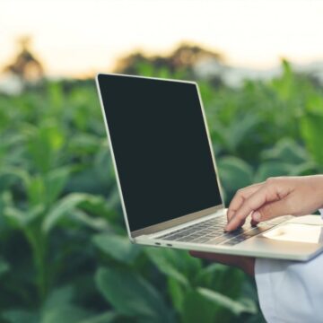 Conab cria novo Portal para promover o acesso às informações sobre armazéns do Brasil