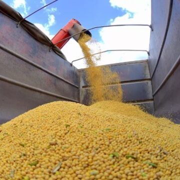 Agropecuária recuou 0,9% no PIB do primeiro trimestre deste ano