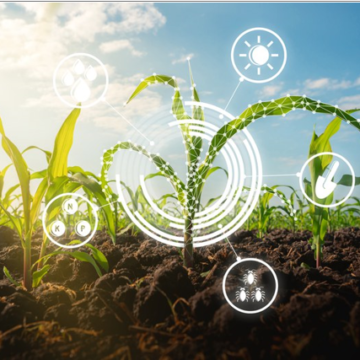 Portaria institui Programa AgroHub Brasil