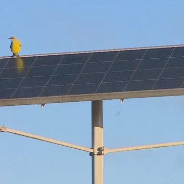 Sem título RS deve dobrar produção de energia solar em 2022, projeta setor