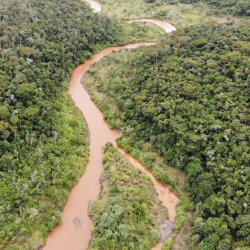 Reflorestamento de áreas atingidas em Mariana Meio Ambiente anuncia fundos para compensar perdas em Mariana