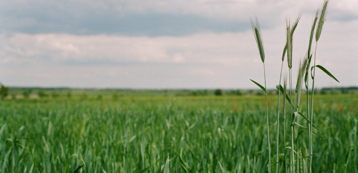 Fórum Futuro do Agro é nesta quinta-feira, dia 20