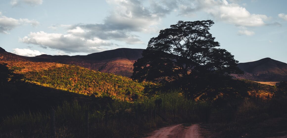 nathalia-segato-0XGJi7zLvvE-unsplash Projeto do Banco Mundial apoia povos indígenas no Cerrado Brasileiro