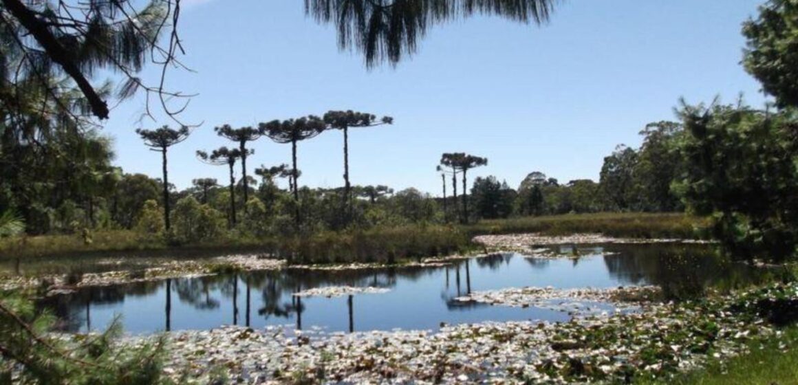 Um parque inclusivo na Serra Gaúcha