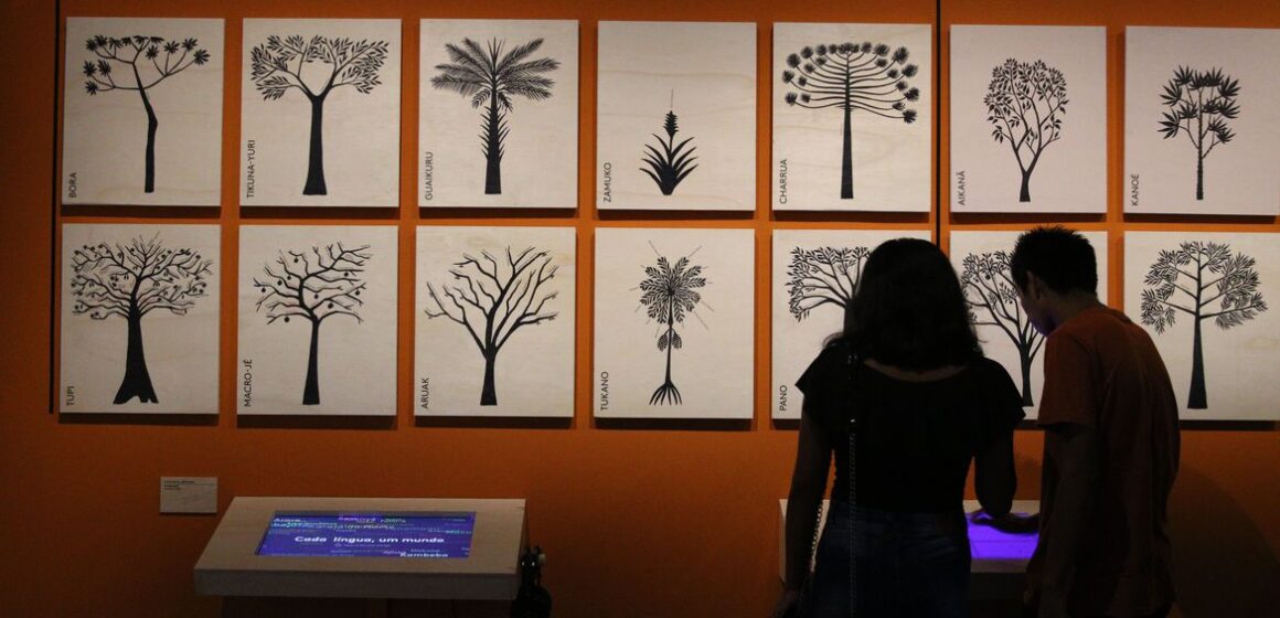 Em São Paulo, exposição sobre línguas indígenas ganha versão virtual