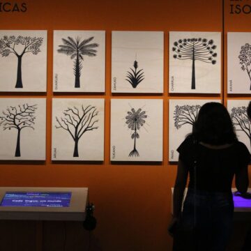 Museu da Língua Portuguesa Em São Paulo, exposição sobre línguas indígenas ganha versão virtual