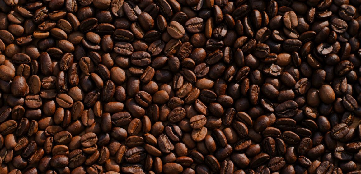 Primeiro levantamento da safra 2023 de café indica uma produção de 54,94 milhões de sacas