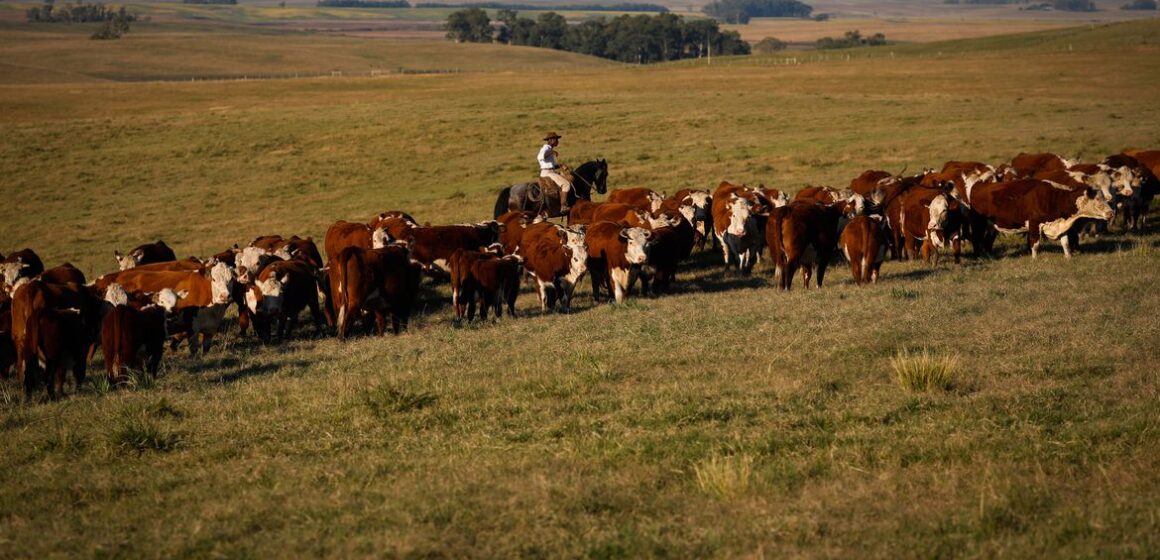 Produto Interno Bruto cresce 2,5% em fevereiro