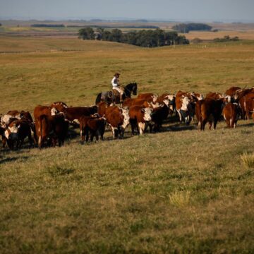 Produto Interno Bruto cresce 2,5% em fevereiro