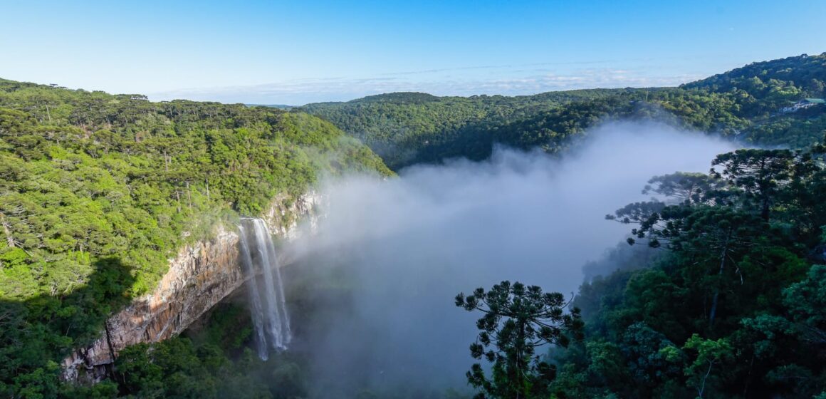 4 lugares para curtir um piquenique na Serra Gaúcha