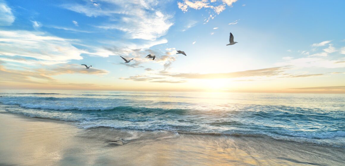 SP Ocean Week 2023 chama atenção para conhecimento dos mares