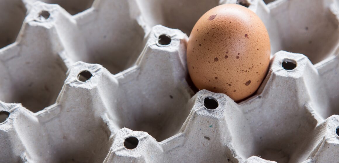 pexels-aphiwat-chuangchoem-364306-1 Ovo: de vilão a um dos melhores alimentos do mundo