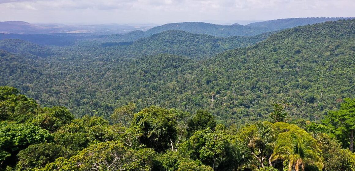 vice-presidente_da_republica_hamilton_mourao_carajas_missoes_diplomaticas_a_amazonia_oriental0809210165 Amazônia é um dos focos da ONU para a Agenda 2030