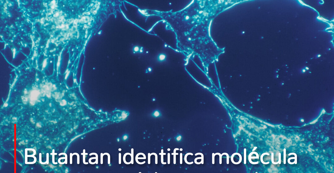 Mercado imobiliário busca se adaptar ao perfil da Geração Z