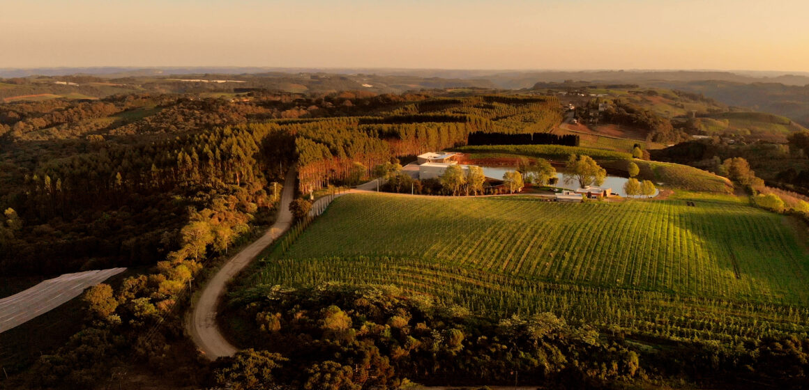 Novo destino enoturístico une vinhos biodinâmicos, gastronomia sulista e inovação construtiva na Serra Gaúcha