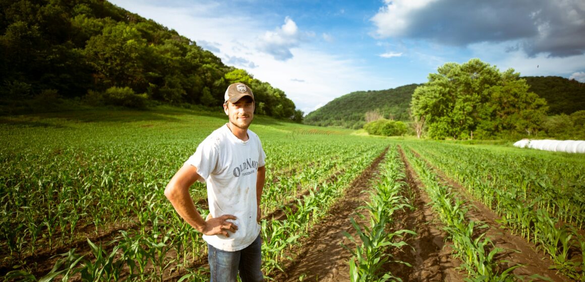 gregory-hayes-QFmNQXLPbZc-unsplash Agropecuária lidera em salários; especialização impulsiona remuneração