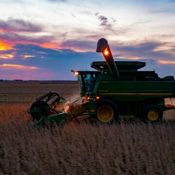 Panorama agrícola: atraso na colheita de soja e desafios na produção de milho