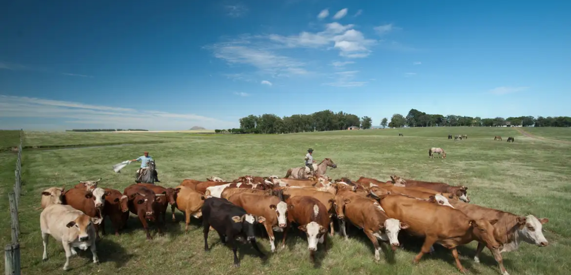 Brasil pode ampliar área de cultivo em 35% utilizando terras degradadas