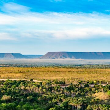 Cerrado: tesouro nacional de biodiversidade e agricultura