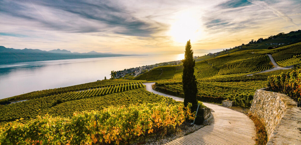 Roteiro de encantos: castelos, queijos e vinhos na Suíça Francesa