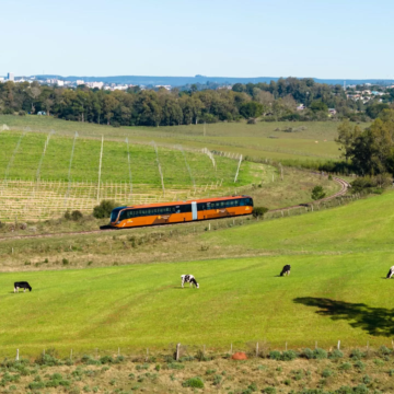 Viaje pelo Cerro Palomas e deguste vinhos no Trem do Pampa