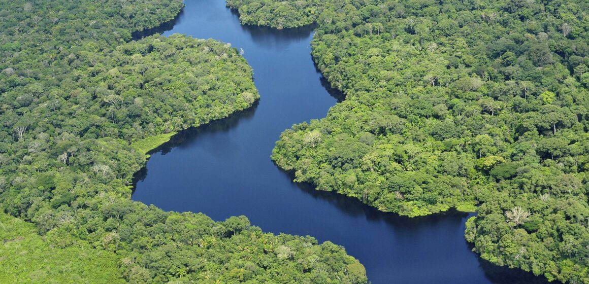 Amazon_CIAT_3 Reflorestamento da Amazônia ganha impulso com títulos verdes do Bird
