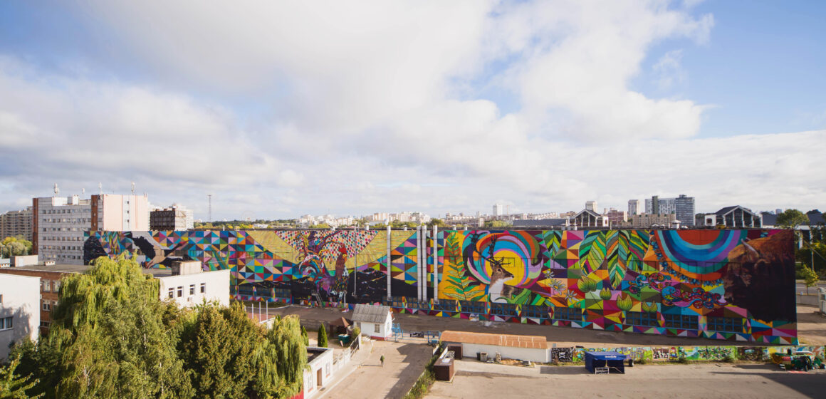 “Natureza Urbana” aporta no CCBB Brasília de 20 de agosto a 20 de outubro de 2024