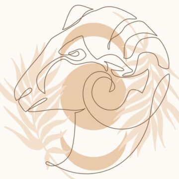 aries-3-1024x683-1 Horóscopo do dia: previsão para os 12 signos em 03/12/2024