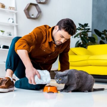 4 aspectos para considerar antes de presentear alguém com um animal