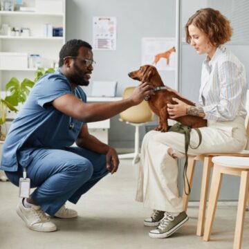 Veja as causas e os sintomas da depressão em cachorros