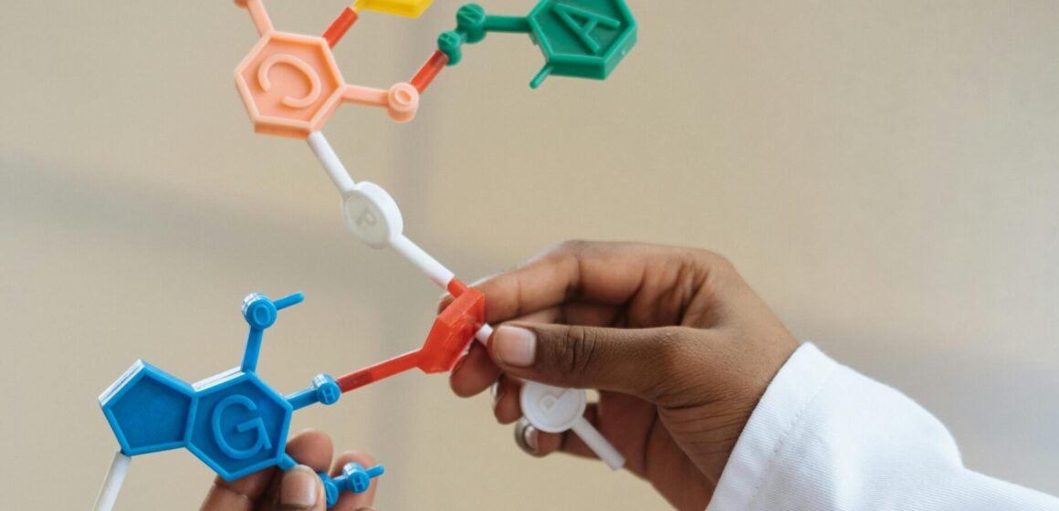 Estudo apresenta a diversidade genômica brasileira e projeta avanços para a saúde pública