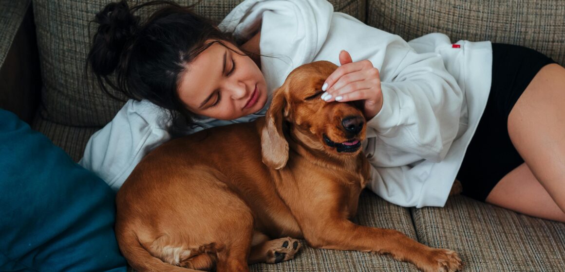 pexels-babydov-7788610-1 Pesquisa global revela que pessoas preferem a companhia dos pets em vez de parceiros quando estão estressadas