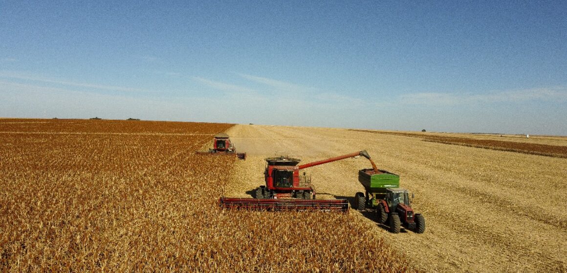 Acordo inédito para exportação de sorgo abre nova oportunidade para produtores brasileiros