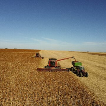 4 Acordo inédito para exportação de sorgo abre nova oportunidade para produtores brasileiros