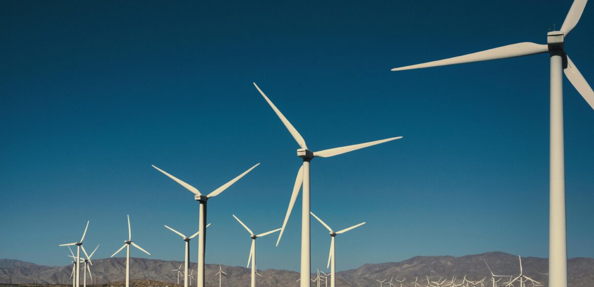 pexels-alfomedeiros-15268778 Da abundância ao desperdício: a contradição da energia limpa