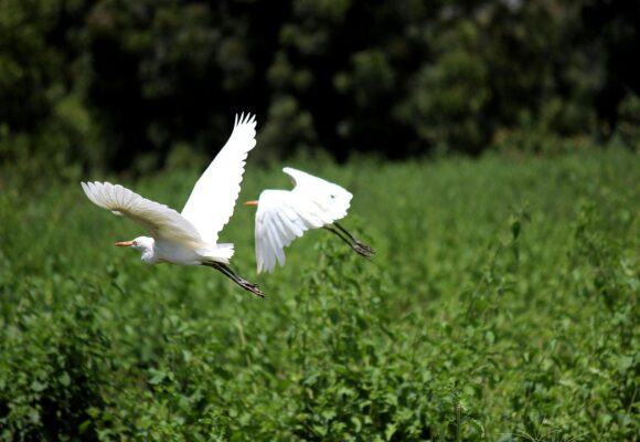 Ecoturismo ganha força no Brasil e movimenta mercado de viagens